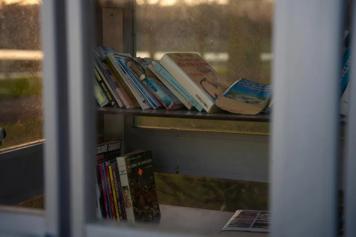 Reading in a quiet library