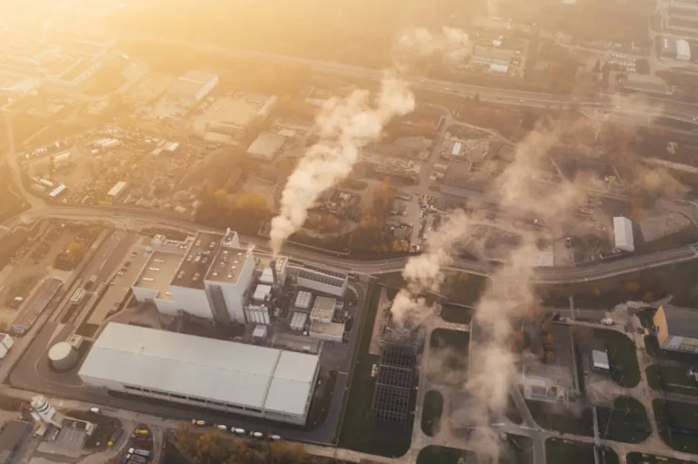 Pollution Control: Meaning, Examples, Guide, and Key Details