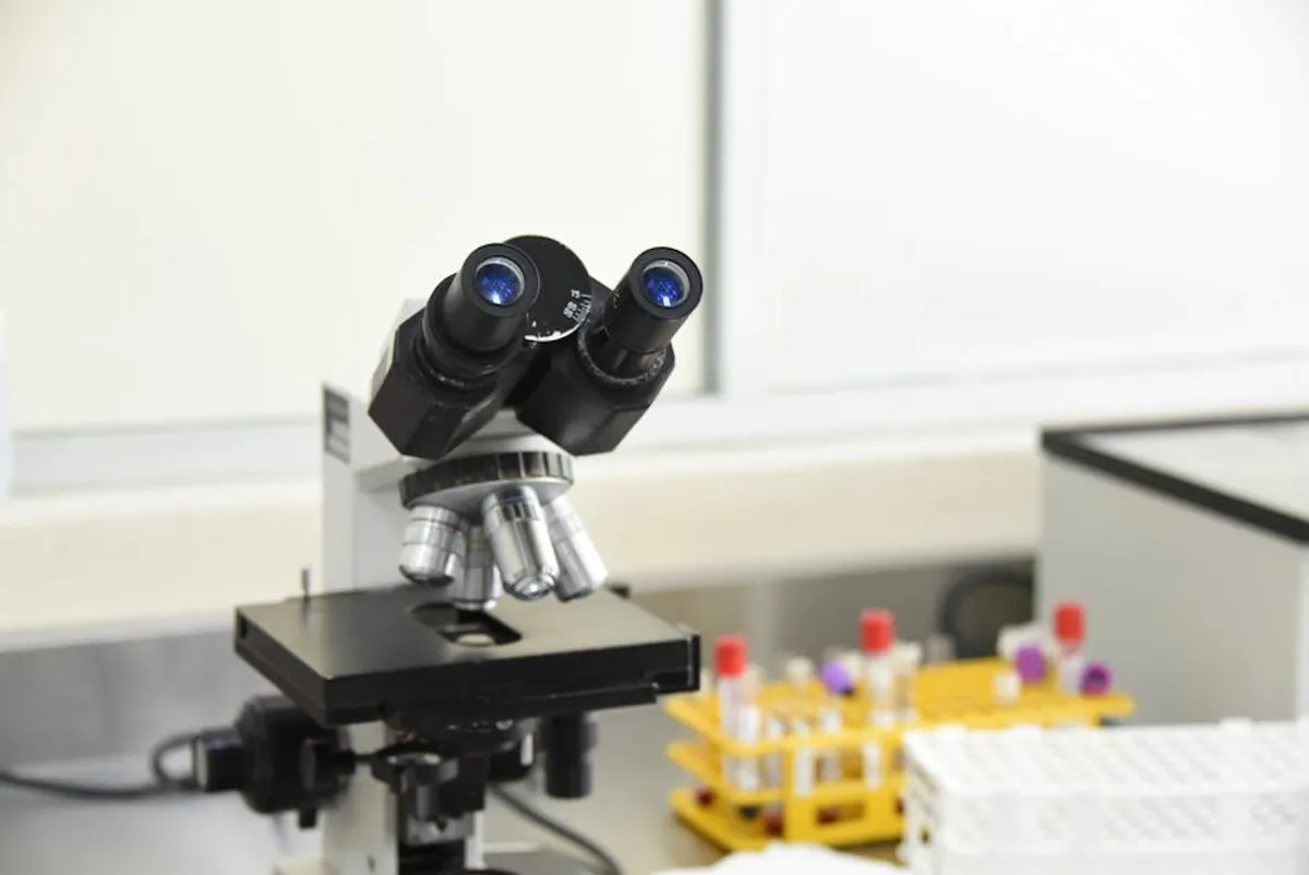 Research Methodology Explained for Beginners